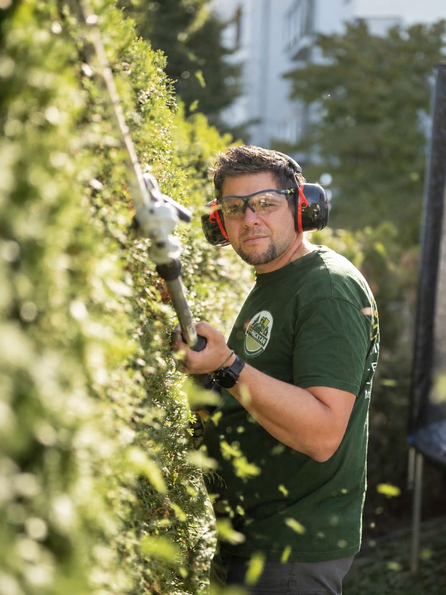 Teleskop-Heckenschere im Einsatz an einer hohen Hecke