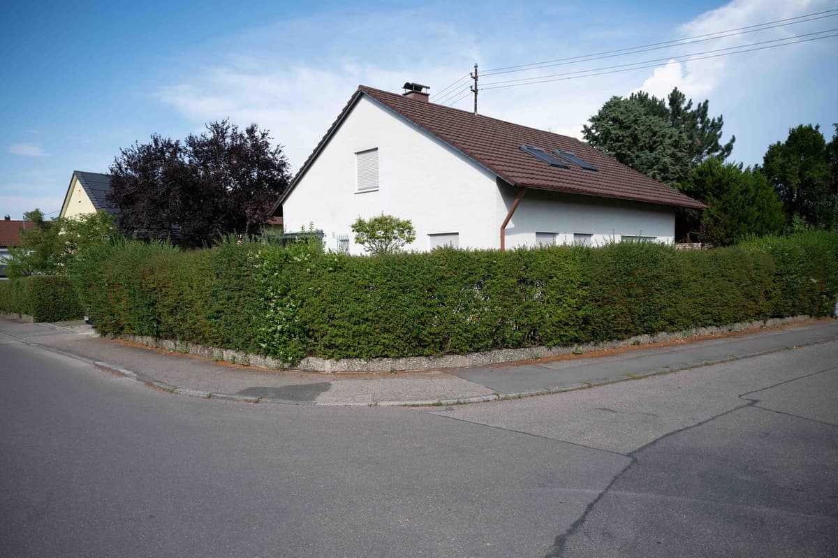 Stark überwachsene Ligusterhecke entlang eines Grundstücks